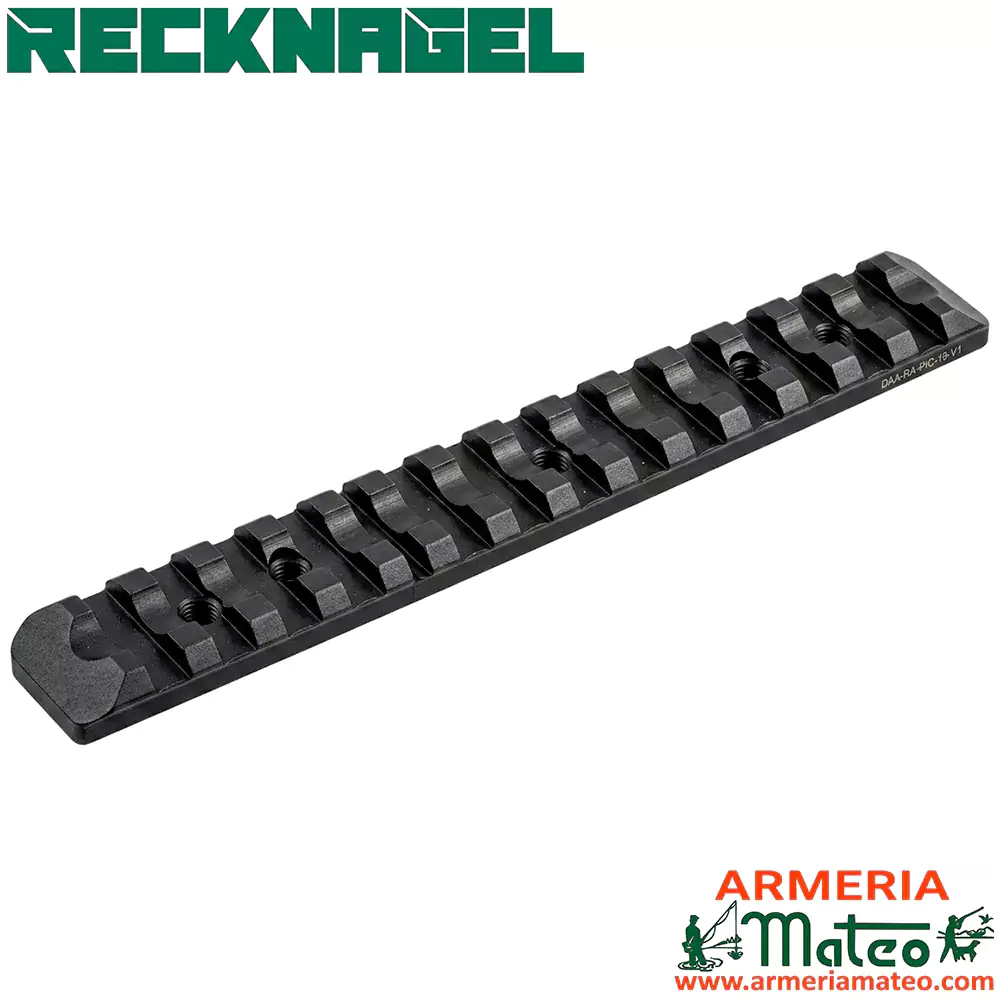 carril_recknagel_std CARRIL RECKNAGEL PICATINNY ERGAL - Imagen 1