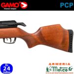 Carabina Gamo Riser