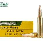 MUNICION REMINGTON CORE LOCK  SPS 243 W 80 GR