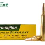 MUNICION REMINGTON CORE LOCK  SPS 300 WIN 150 GRS