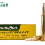 MUNICION REMINGTON CORE LOCK  SPS 300 WIN 180 GRS