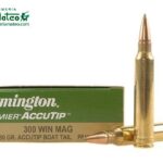 MUNICION REMINGTON ACCUTIP 300 WIN 180 GRS