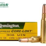 MUNICION REMINGTON CORE LOCK SP 308 180 GRS