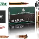 MUNICION RWS KS 308 WIN 165 GR