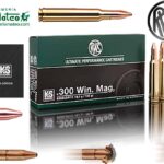MUNICION RWS KS 300 WIN MAG 165 GR
