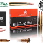 MUNICION RWS KS 375 H&H 300 GR