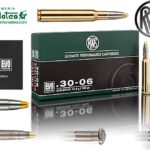 MUNICION RWS EVO 30-06 184 GRS