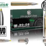 MUNICION RWS EVO GREEN 30-06 136 GR