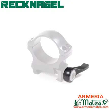palomilla recknagel